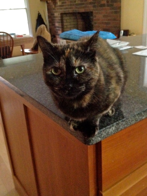 Penny