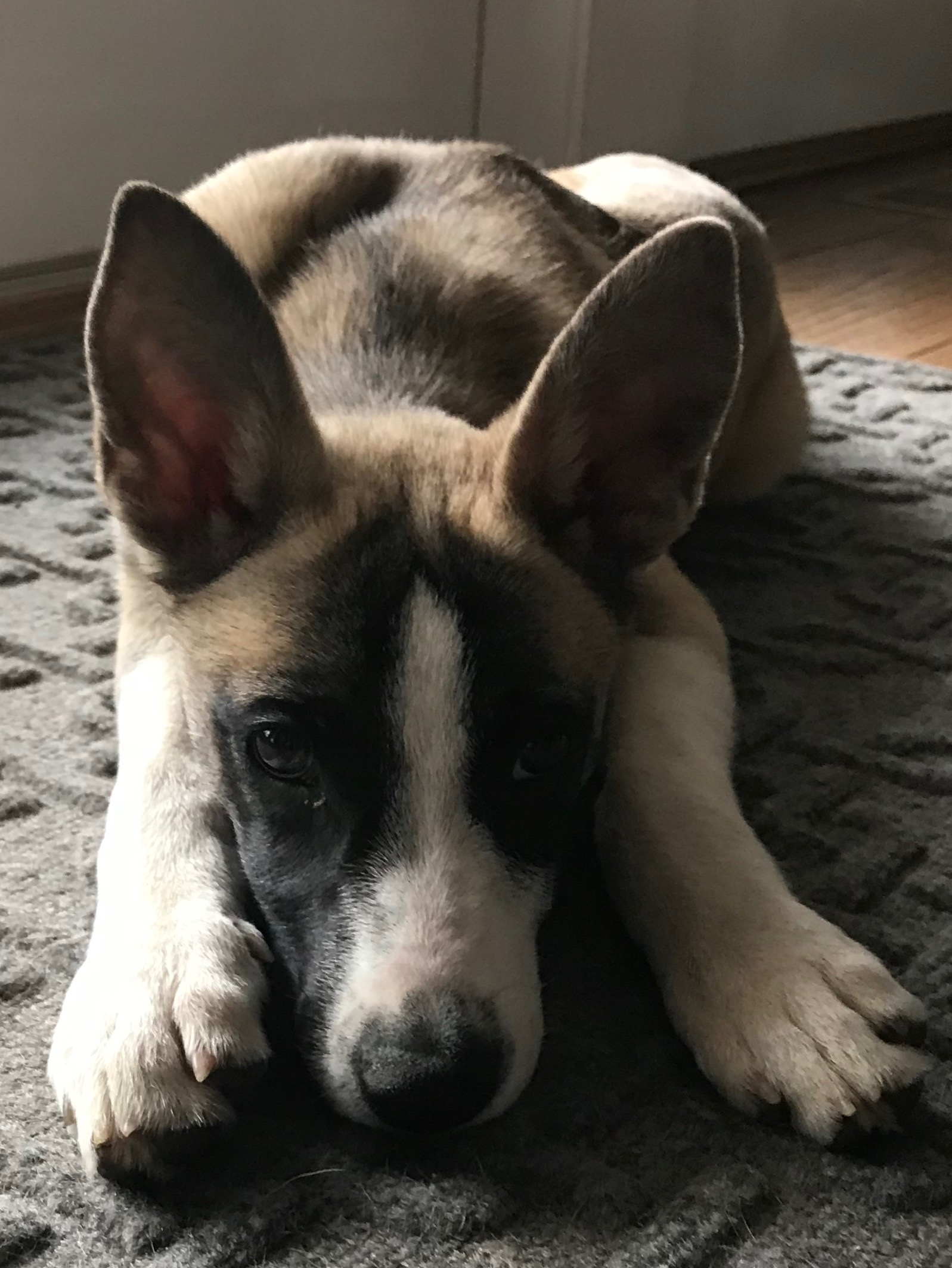 “Bruiser”