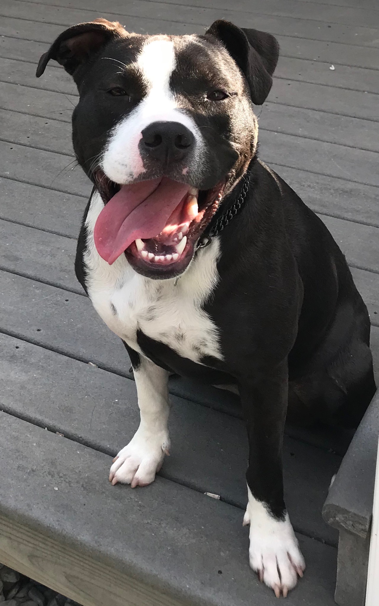 “Cali”