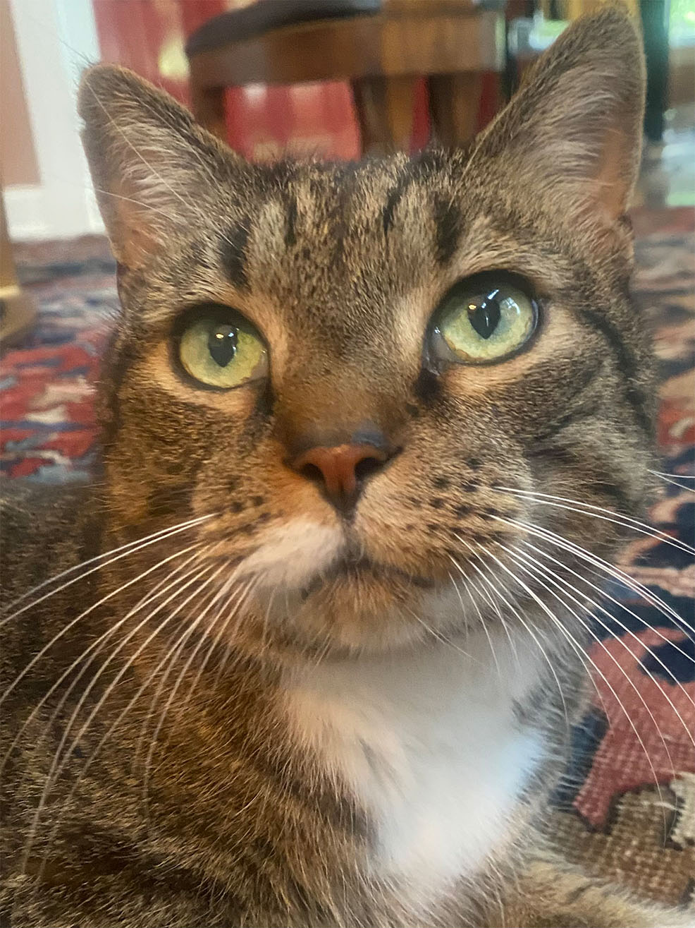 “Charlie”