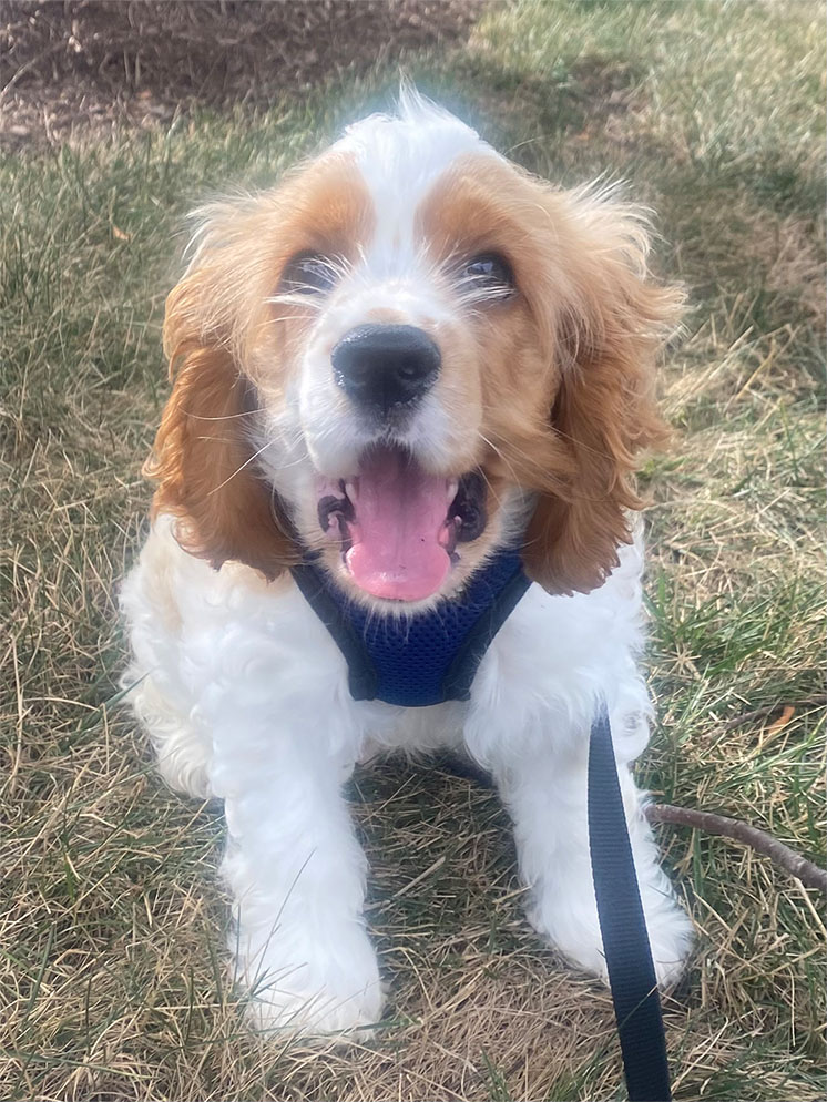 “Enzo”